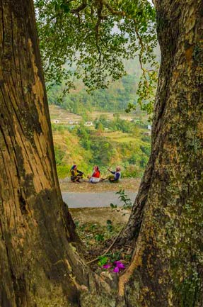 Himalayan Street Hangout