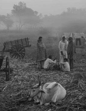 Site Photography Dehradun